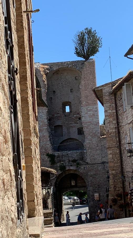 Francesco House Family Daire Assisi Dış mekan fotoğraf